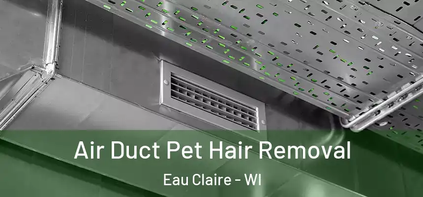 Air Duct Pet Hair Removal Eau Claire - WI