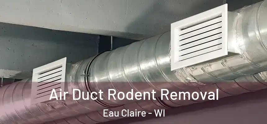 Air Duct Rodent Removal Eau Claire - WI