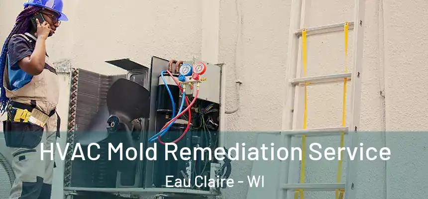 HVAC Mold Remediation Service Eau Claire - WI