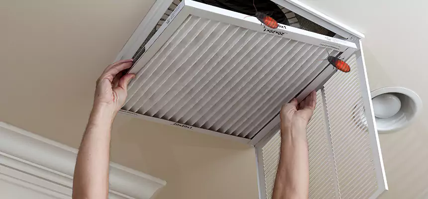 Preventive Cockroach-Proofing for Ducts in Eau Claire