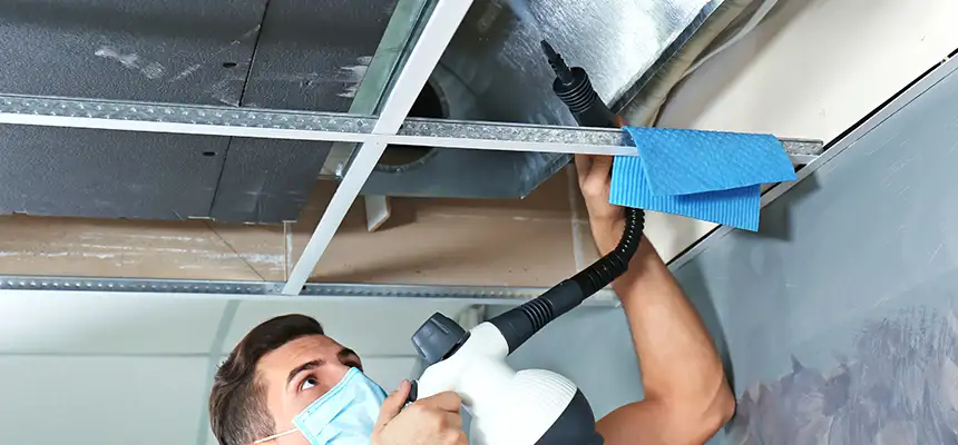 Our Air Duct Rodent Removal Services in Eau Claire, WI