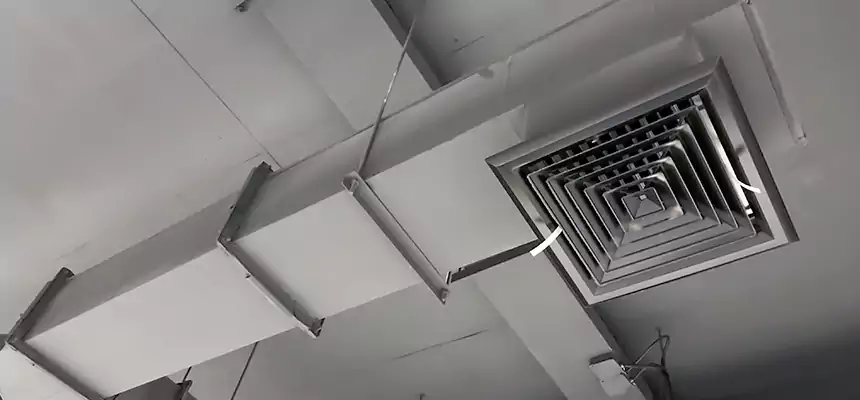 Our Rodent Droppings In Vents Services in Eau Claire, WI