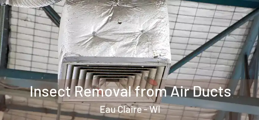 Insect Removal from Air Ducts Eau Claire - WI