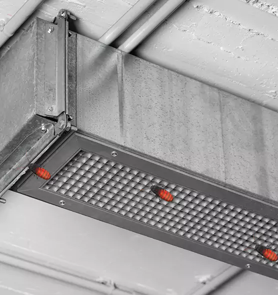 About Air Duct Cockroach Removal in Eau Claire, WI