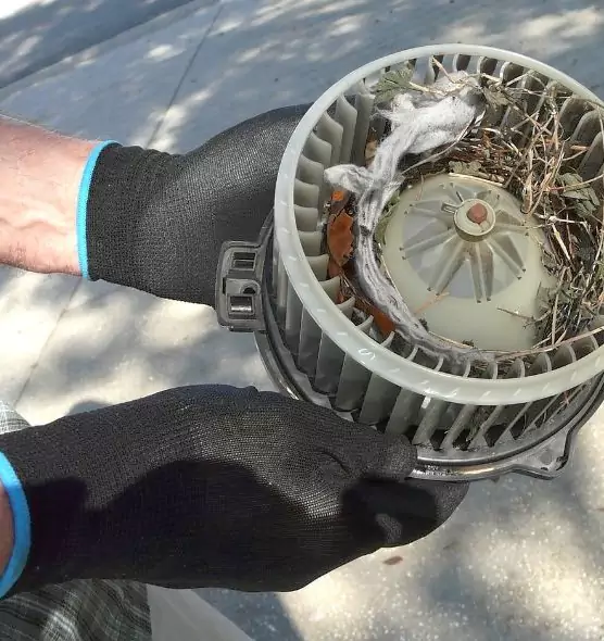 About Air Duct Mice Removal in Eau Claire, WI