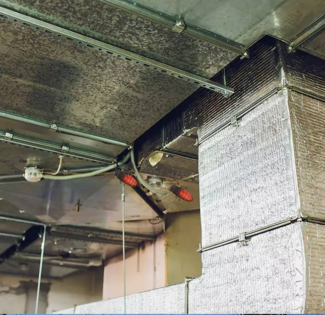 Why Homeowners & Businesses Trust Us in Eau Claire, WI?