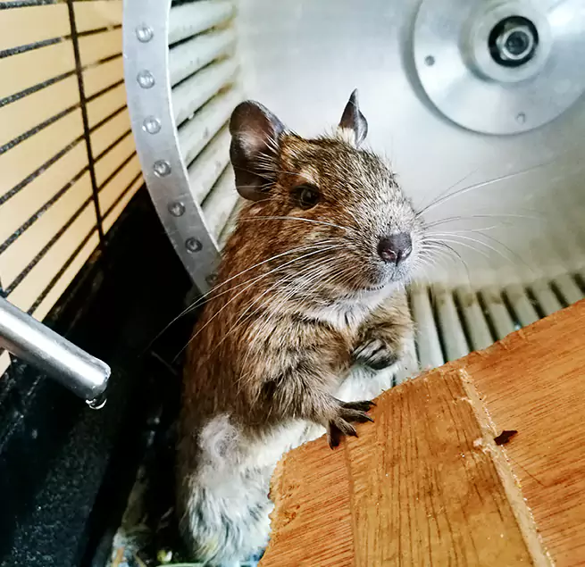 Why Homeowners & Businesses Trust Us Eau Claire, WI